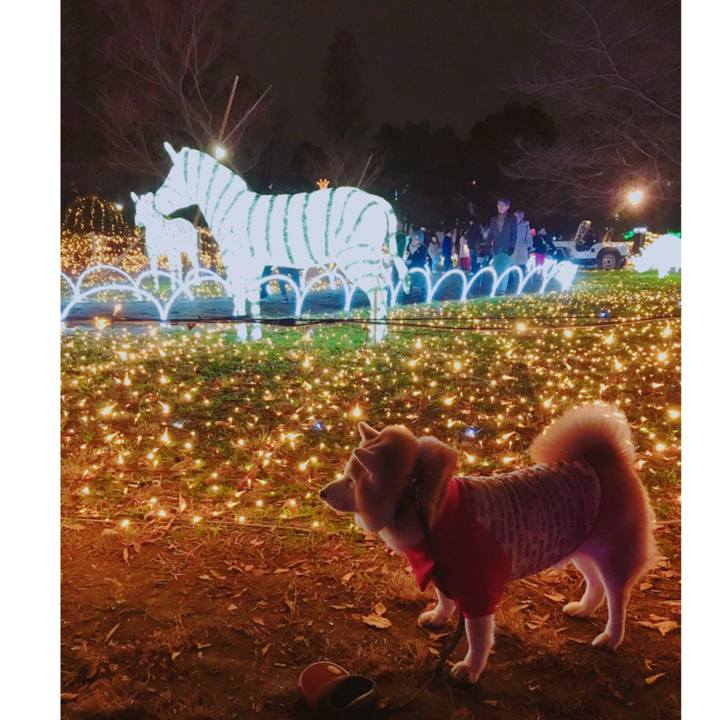 54a2b11b c4a1 4cda 830e 60b106048827 1577102317061