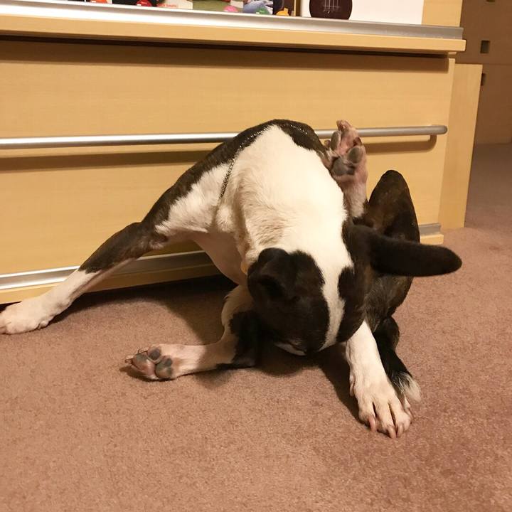 54a2c385 94be 49b7 a8a6 05ed2d43a278 1516281316610