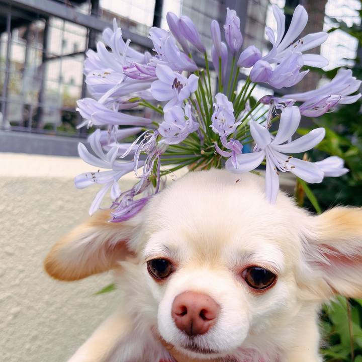 54a2fbb8 c254 4317 8190 f62b3545f860 1688549687056