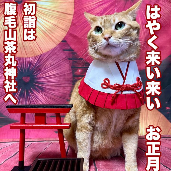 54a309f3 95da 4d9d bdc8 3936d4184578 1704020916787