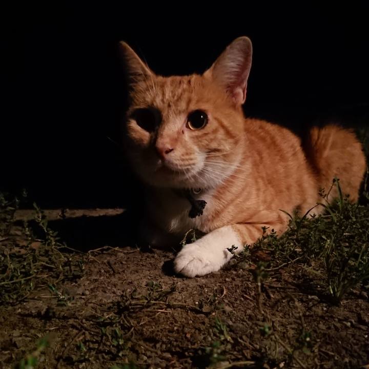 54a3271e 8b9e 4422 913d 981fc5b96eaa 1566216487472