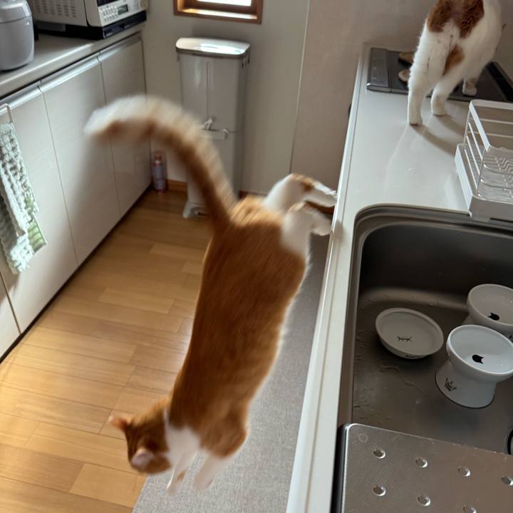 54a327e2 6274 4bb9 a7df 21533ff6908d 1774580441860