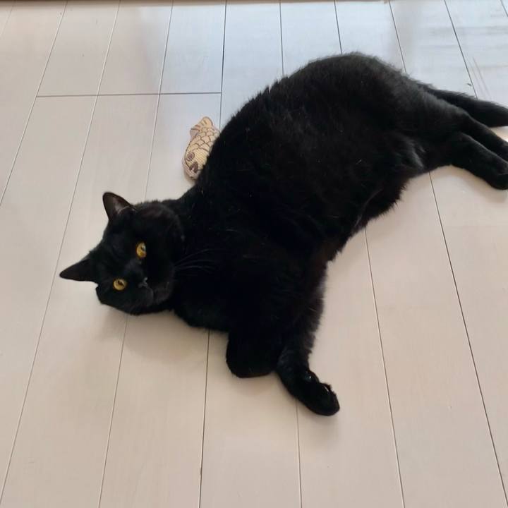 54a35a27 4c56 4a37 9dc6 85b36d72cd31 1716519646559