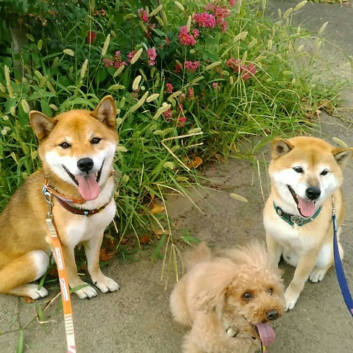 54a38e5c 3e6a 4377 ba45 af7111054812 1534757160737