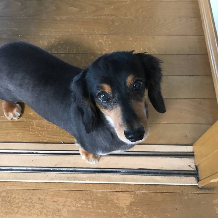 54a3a0c6 49fa 40dd ae01 caed1b2f06a9 1531951989646