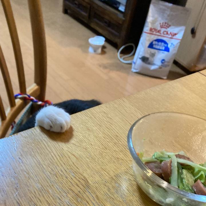 54a3aa7c 7772 4f6a 9c6f a63aa51d4e60 1686738047034