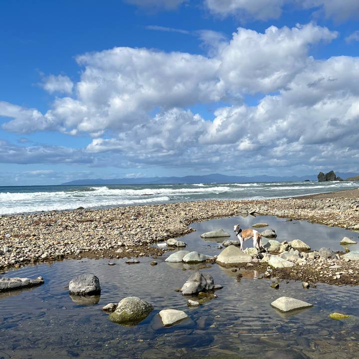 54a3b7a3 3896 46b2 a47c e35962fe0b2b 1760084433166