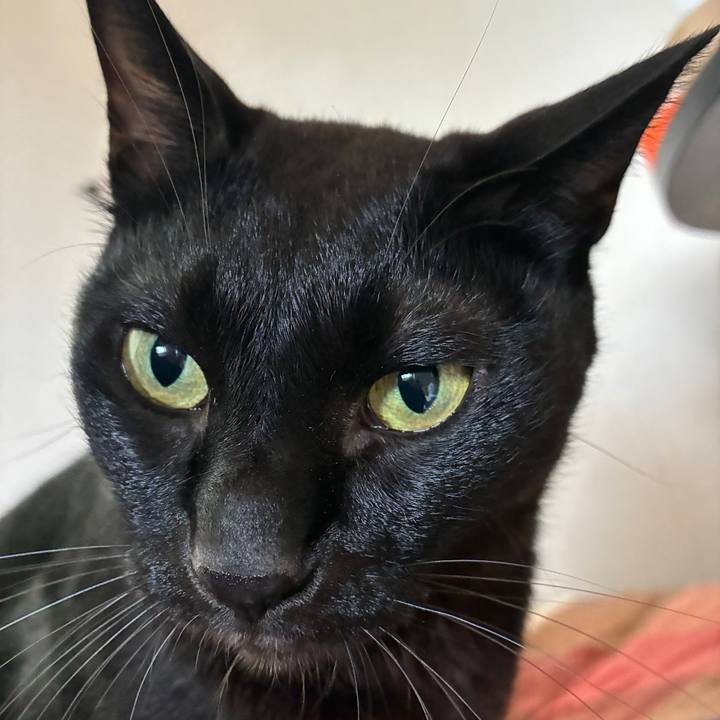 54a3b81c 1d14 42f6 858a 21f892fc81dd 1753510591914