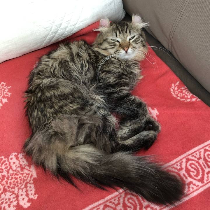 54a3d2ba 916e 44d7 a67d 63032c2cf9ff 1709218774175