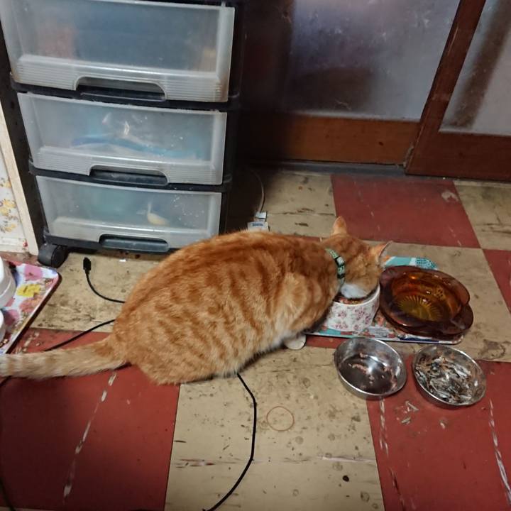 54a3dc5e 3b1b 4ca8 9551 99cac1a362d5 1586073442177