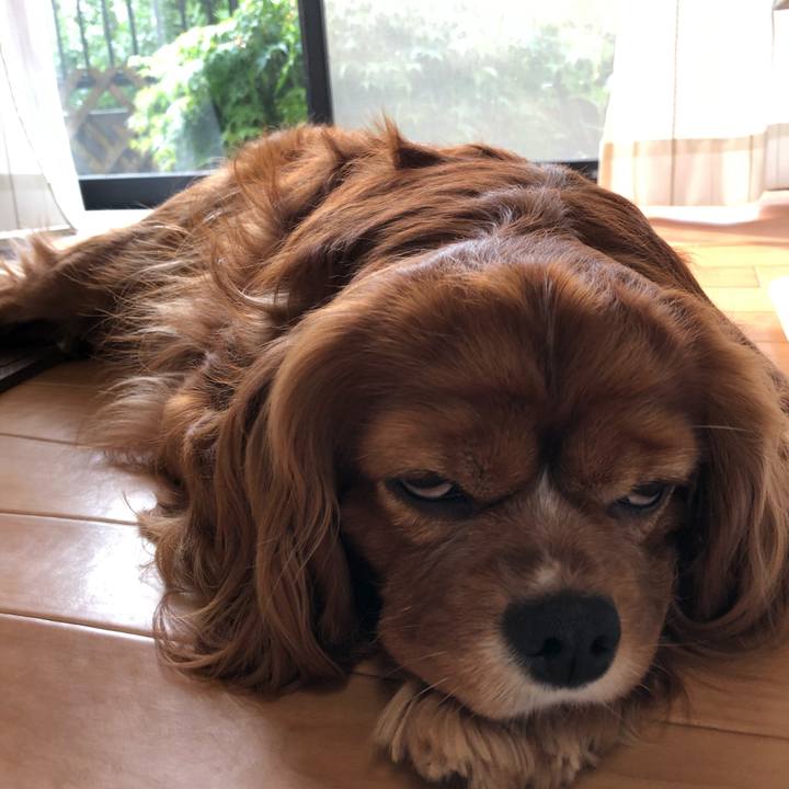 54a43b7b a0e5 49f3 b745 f09ad04a7724 1619735205197