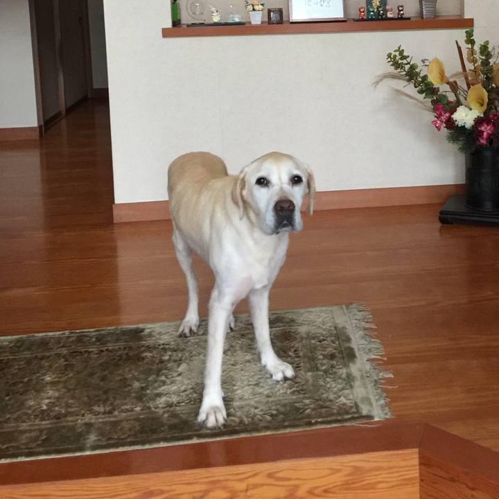 54a43dec 65c5 4882 861a dcaef053d7cb 1568005205245