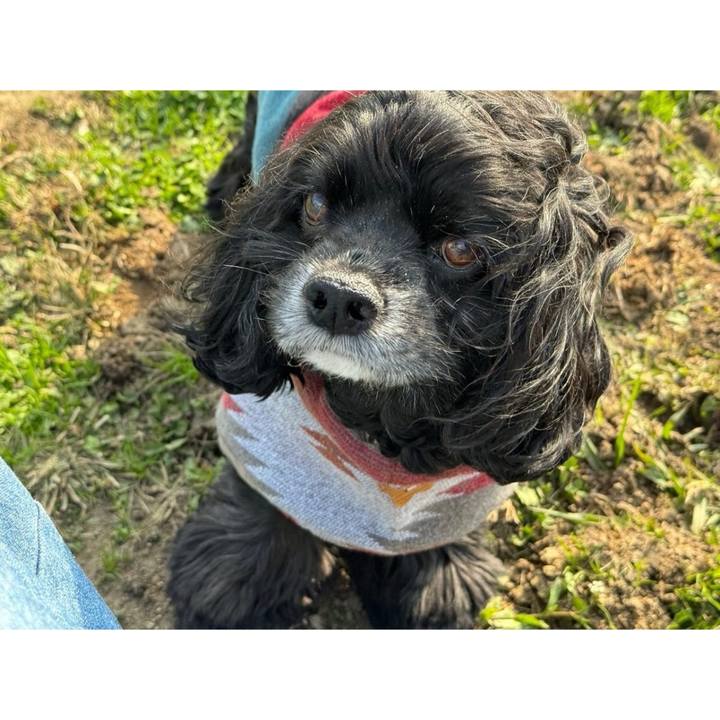 54a4525d c475 4205 b1a5 36cb412df3a3 1701928955744