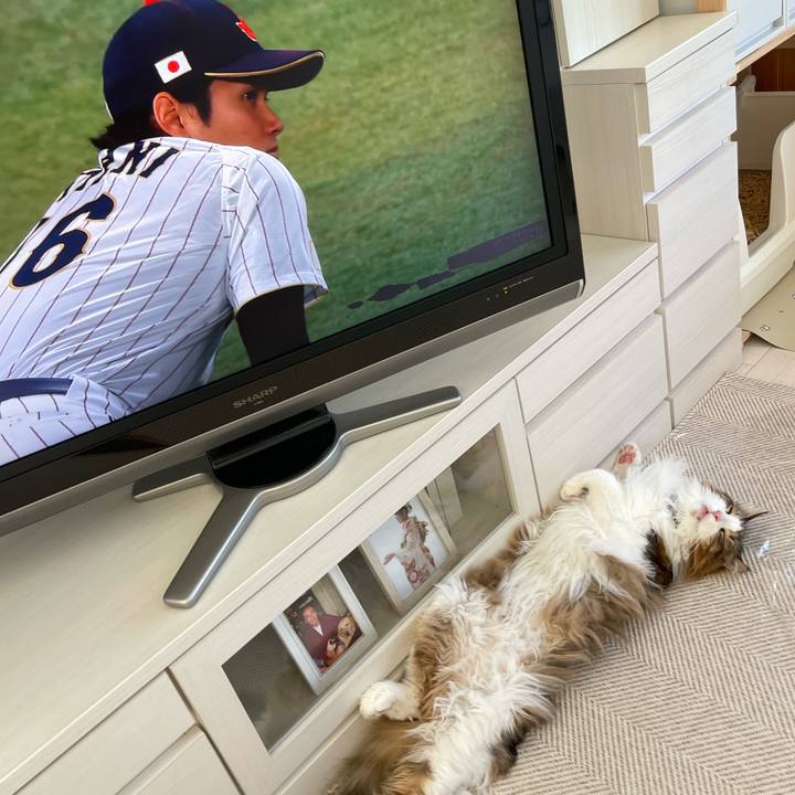 54a499a6 507f 4b42 81e8 2a65e668c48a 1679353444456