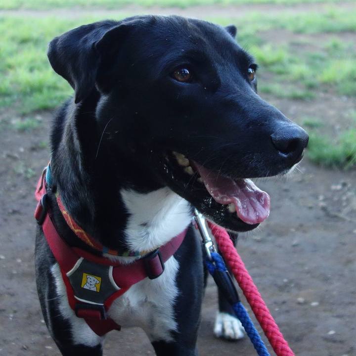 54a4bf91 a840 4707 b2f7 89a1a6f508eb 1590751703175