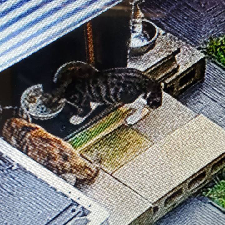 54a4d060 c334 4282 9218 3eee566b9cd4 1725908785957