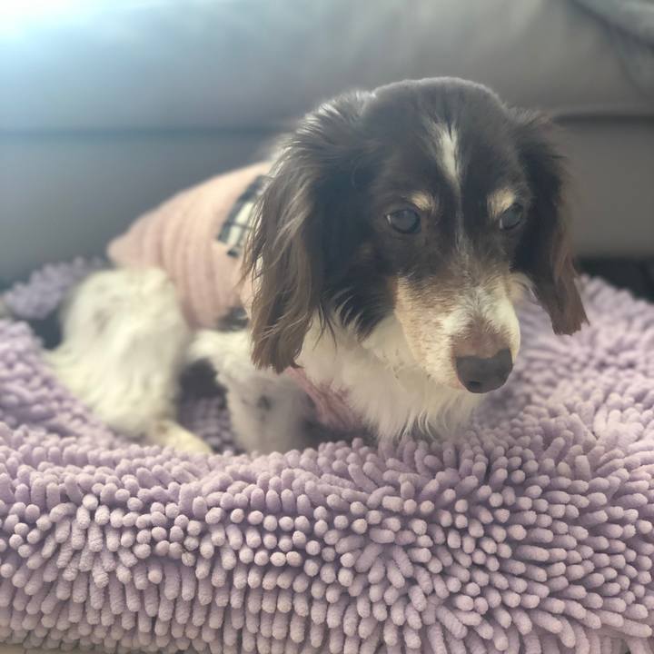 54a4d9cb 0fac 4edd 96e4 6d1a2e01270b 1582760723238