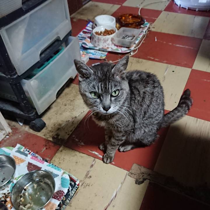 54a54cf6 5fb1 4682 b8d7 2269f45cbf01 1592717402052