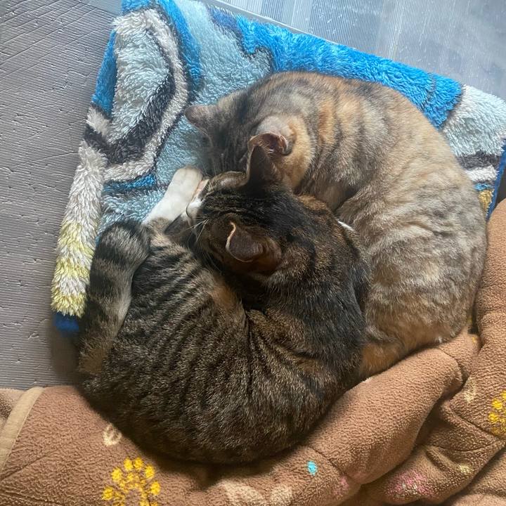 54a56a74 dd9d 4f79 8f1e 2d7ad8b54bd4 1654030402082