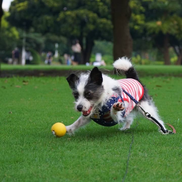 54a5a5ab b5ec 466b 9cde 353017b307bd 1567678842903