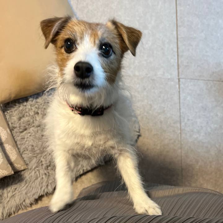 54a5d397 2604 4bca a229 72c5a7f3a669 1730953110917