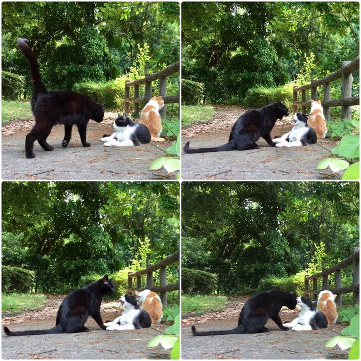 54a5efca 2c56 4662 a2ab 958a443b7130 1559395965939