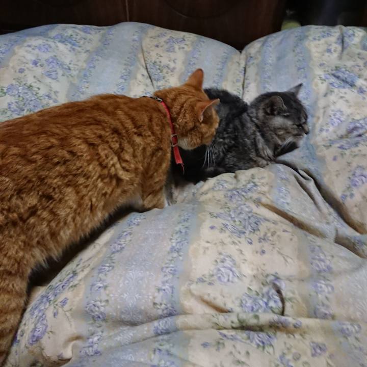 54a5f0aa 56b8 44a3 9cf2 2b500b48adc2 1573302576525