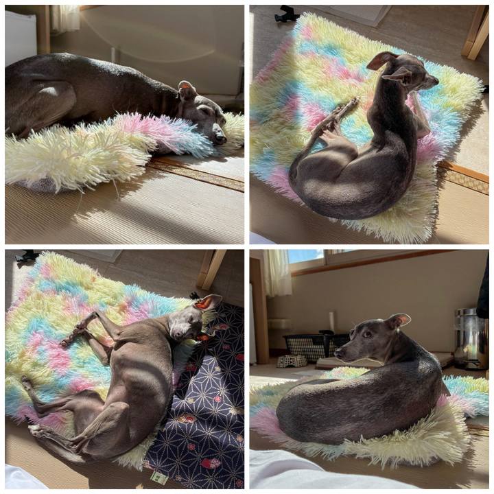 54a5f201 fa59 4b8b b3b3 3b95f16b355d 1774167959813