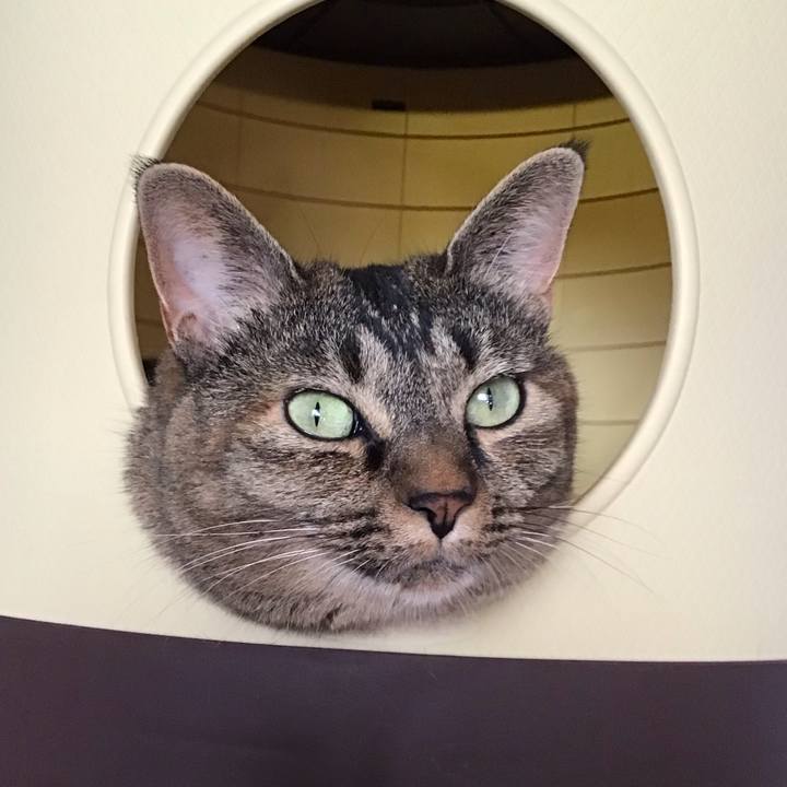 54a62b24 0908 47dc 9b41 aa3023078d9e 1693135368705