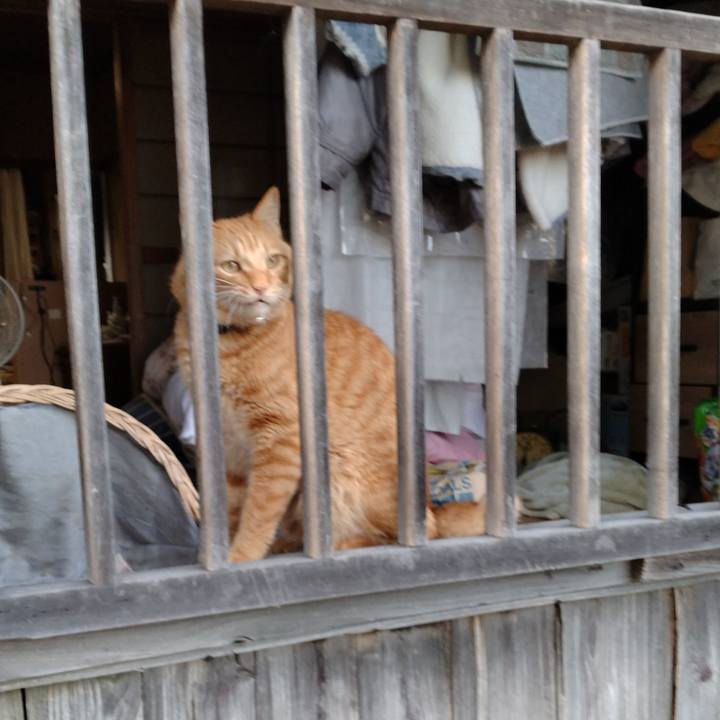 54a64511 af76 443f 9a47 71f162322d0e 1695977261811