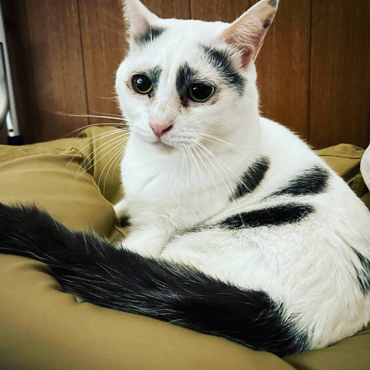 54a67a03 bd52 47a8 881e 045aa50ec5c1 1632783883348