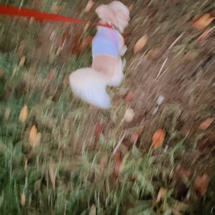 54a67da7 841b 431f 9438 231ac7fc847c 1661854605760