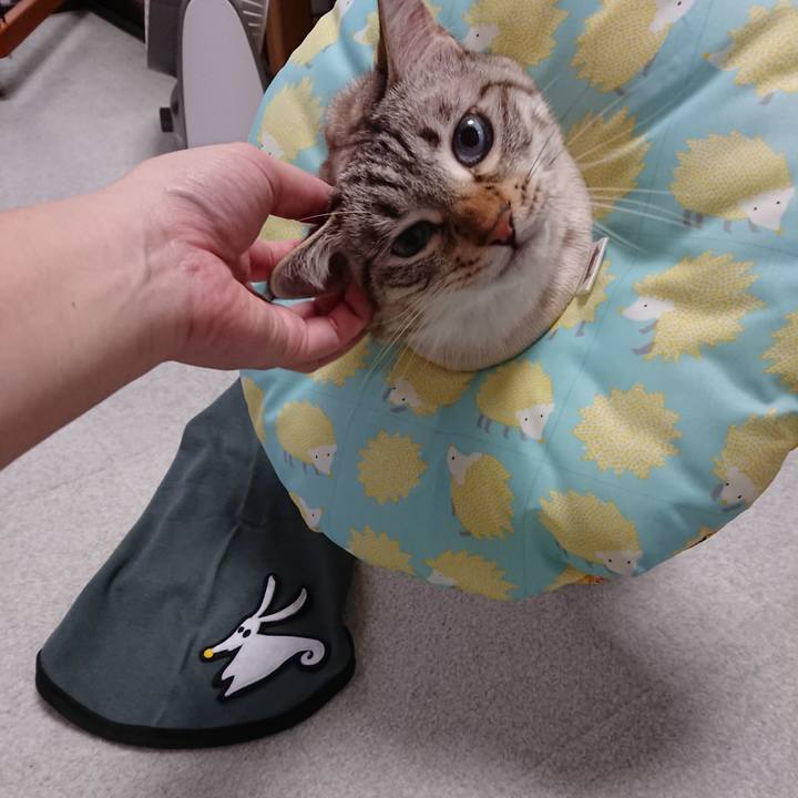 54a69ec2 4966 465a 8912 56646fb6a78a 1563191895407