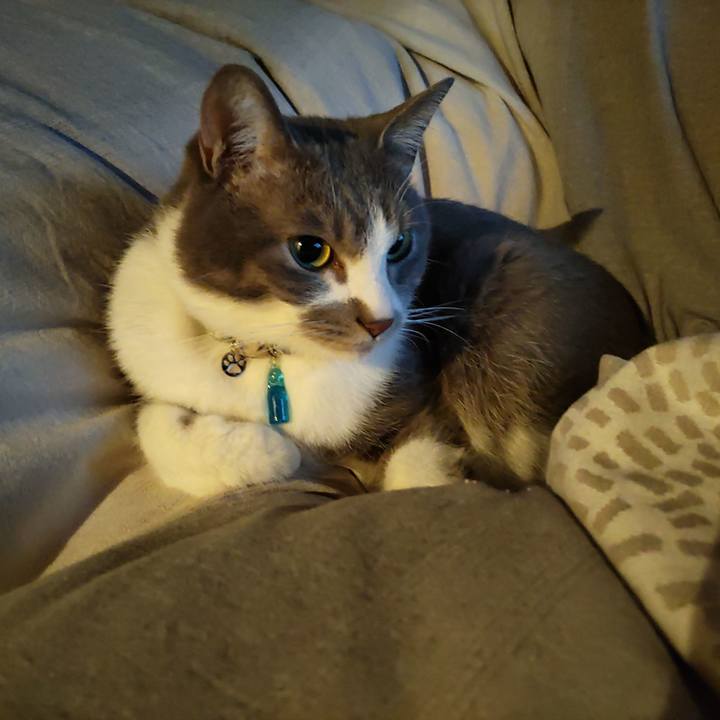 54a70c88 8b0f 41bc b408 cdb8f569fcd5 1704409686646