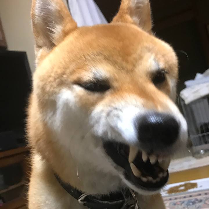 54a71b2d 5ff0 47f1 a0ad 1ee5157e108f 1531910060104