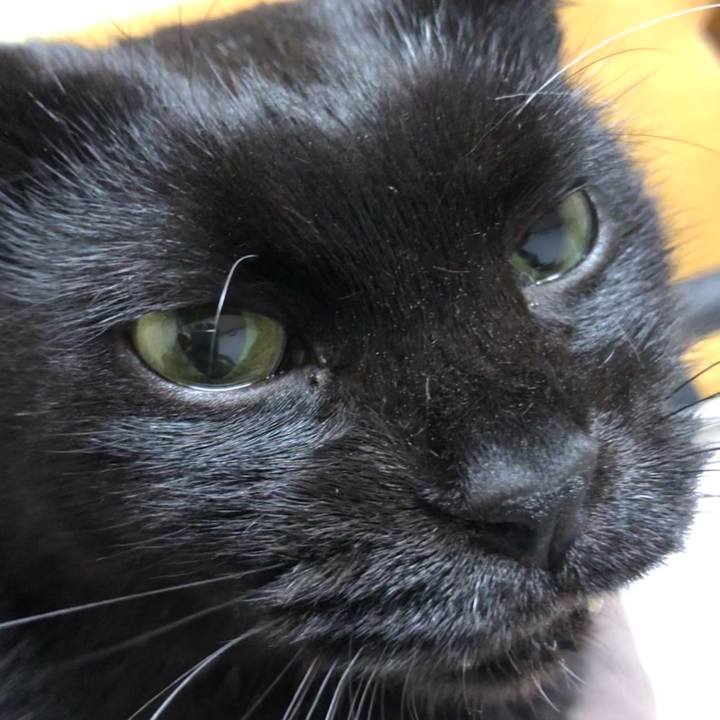 54a73d98 31c2 4697 86b2 37c4c5cd33c7 1637788483808