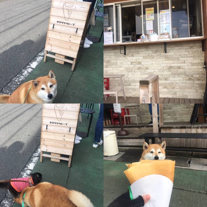 54a778eb 498c 4235 970a 383fd5db5d25 1644661012412