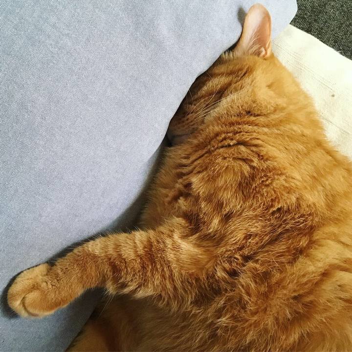 54a77dba 5663 4a36 a66c b2b7f799abc7 1561933719382