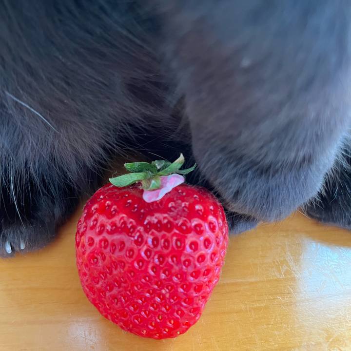 54a7899e 5251 4af3 8489 56e7f5827cad 1679281832669