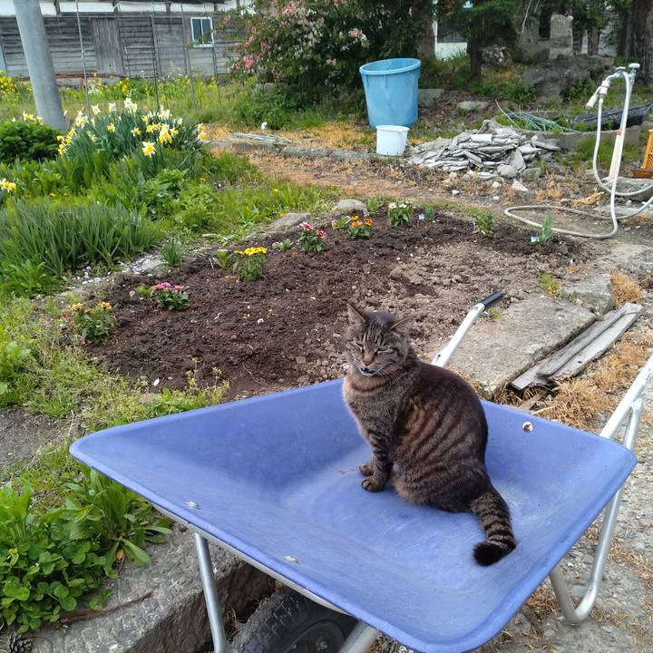 54a78ac8 cd69 4f8e 8498 443406434f85 1746259687023