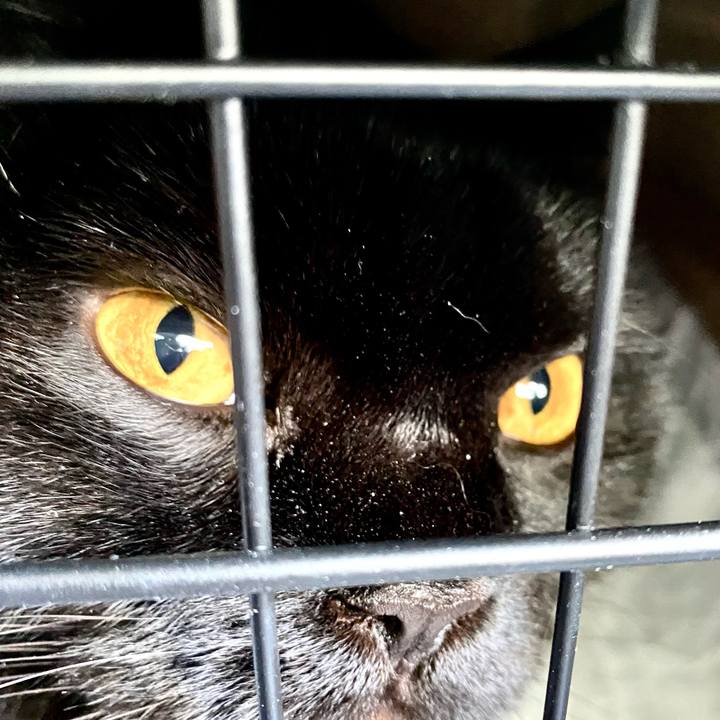 54a7a317 47a6 43ec b5b7 92975554550c 1738393104656