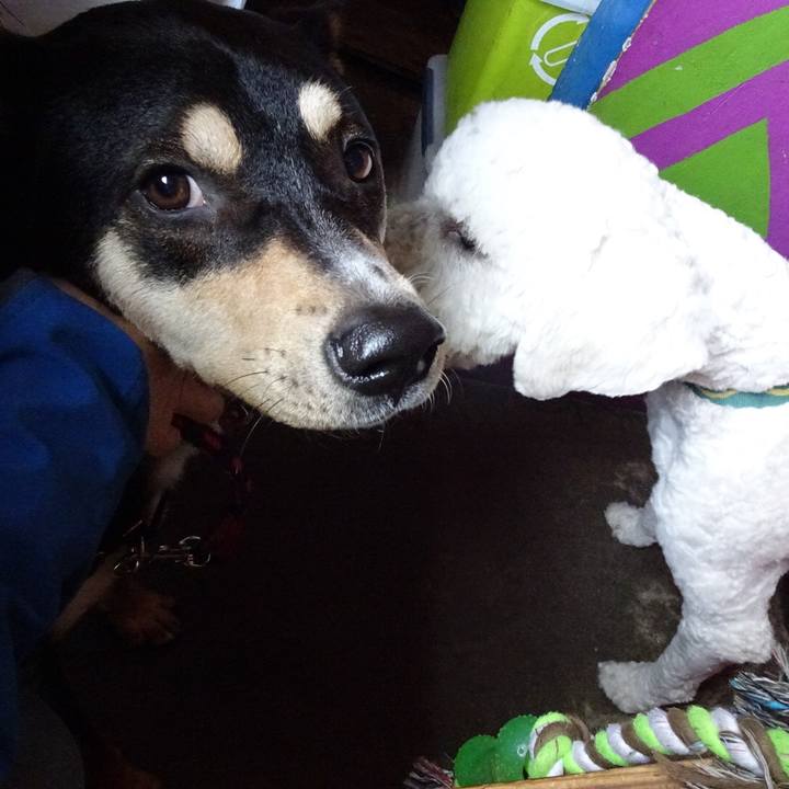 54a7ab7a f109 45e2 ab22 82fa8bde9308 1523783039278