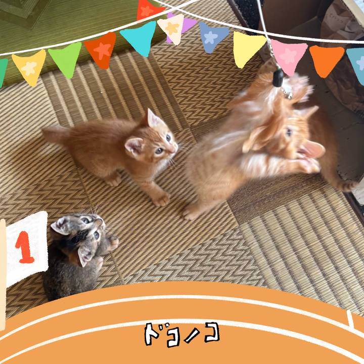 54a7b086 e595 4e67 a330 2f27ee5d961c 1761121861541