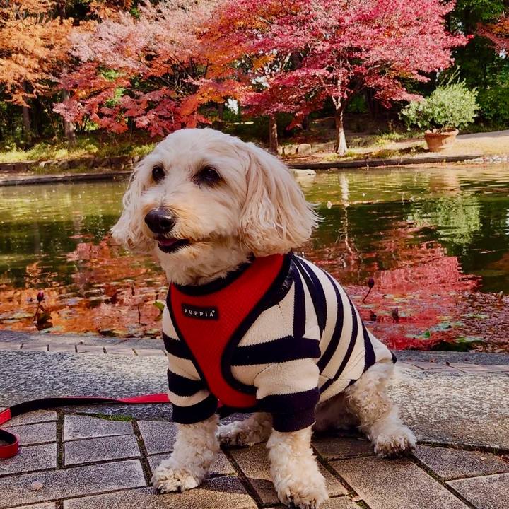 54a7c829 15d6 4a29 b3ad c872c2e61e7f 1764726542729