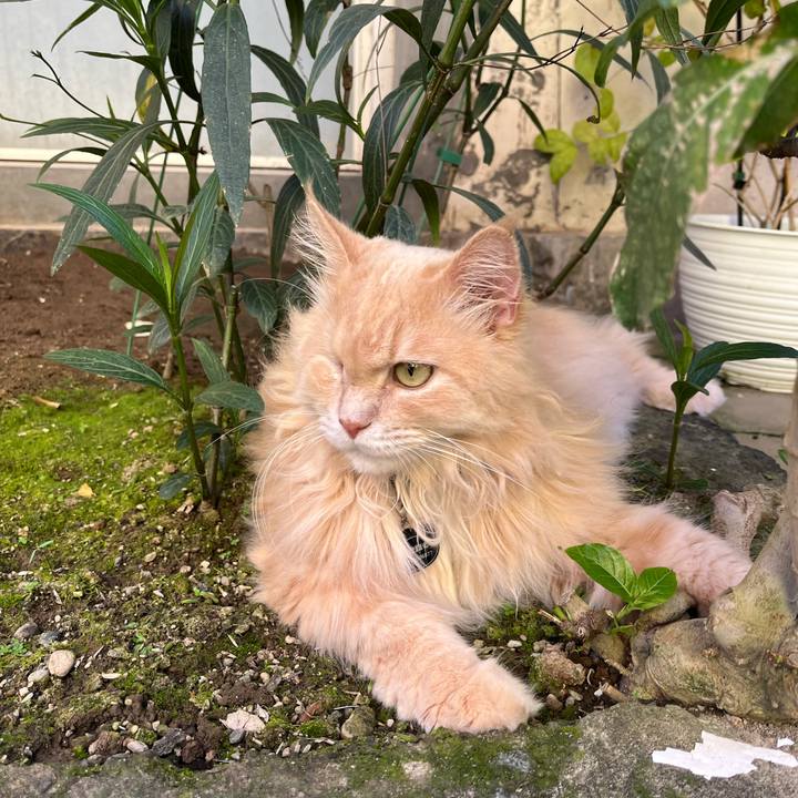 54a7cf58 23d5 4f52 9fc1 c31786924709 1772801531418