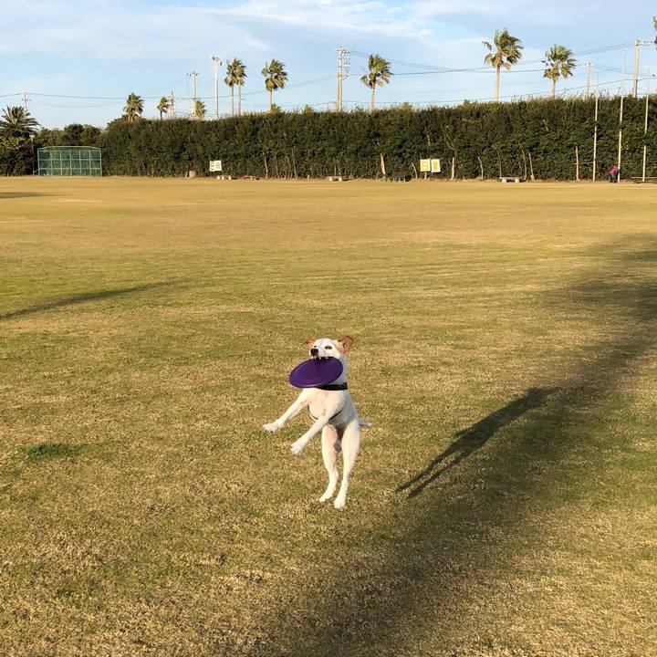 54a8227b fa59 4520 8f5f 631cdf620fa5 1511615649335