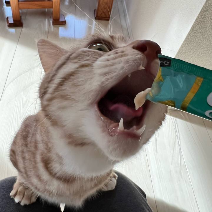 54a8245d 9881 41aa 9c9b 034d5e36f354 1674884539739