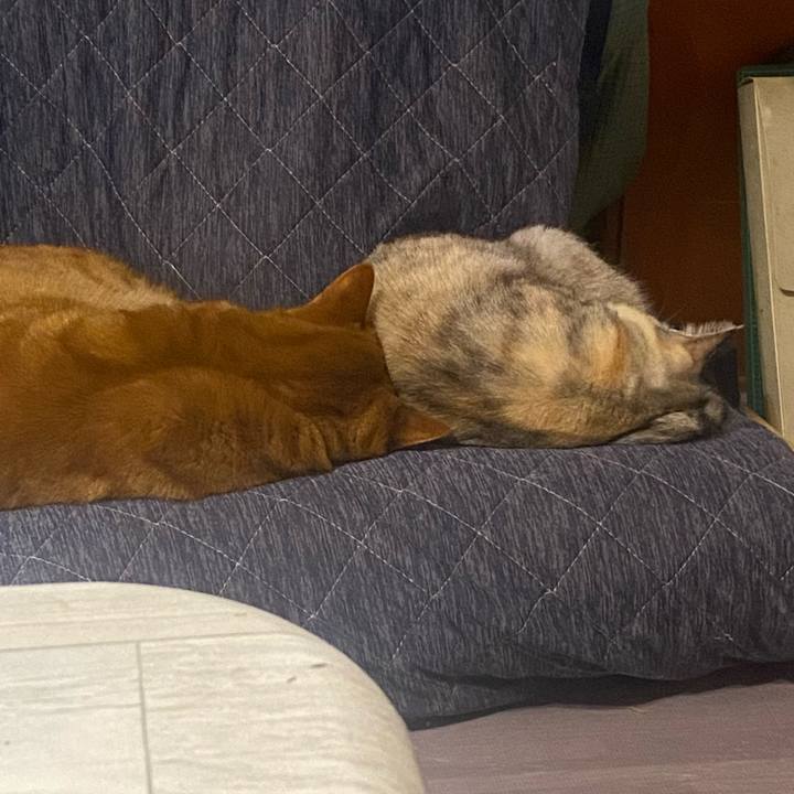 54a83afd aa85 467a bb07 4a542da1de95 1638927505651