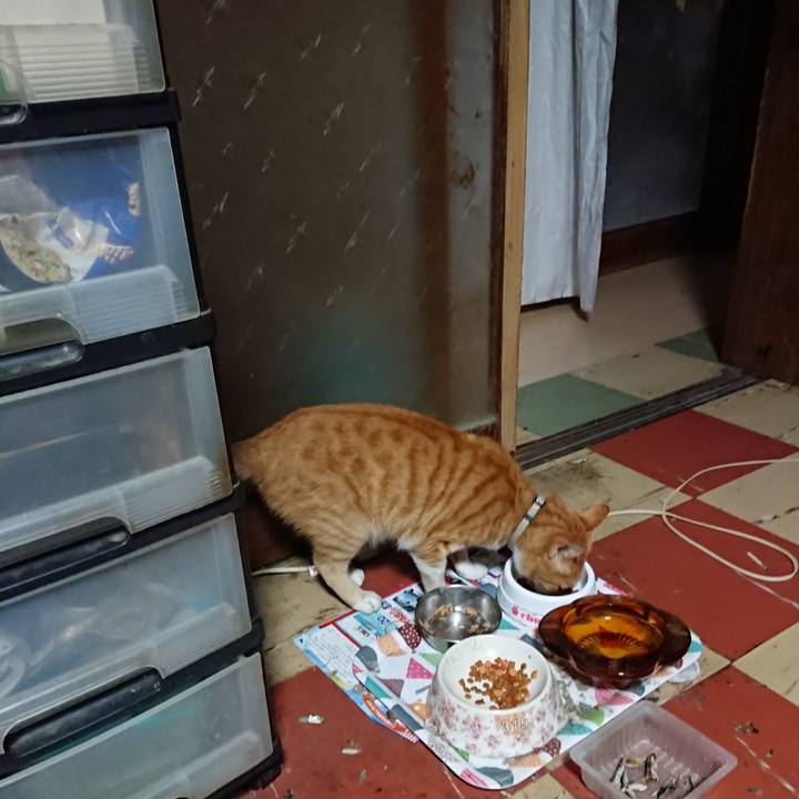 54a8de26 08b5 4890 8e4c 4de4145bf5e1 1594324751469