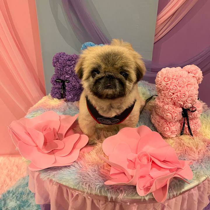 54a8dfa4 0fa3 4d91 91cc 265164e48afa 1732249232022